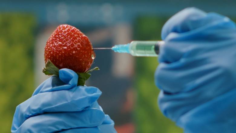 Αλλάζουν στην ΕΕ οι κανονισμοί στα μεταλλαγμένα: «Καμπανάκι» περιβαλλοντικών οργανώσεων