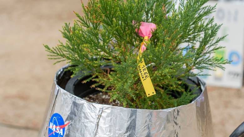 Το «δέντρο της Σελήνης»: Μια αυξανόμενη σύνδεση μεταξύ του διαστήματος και της Γης