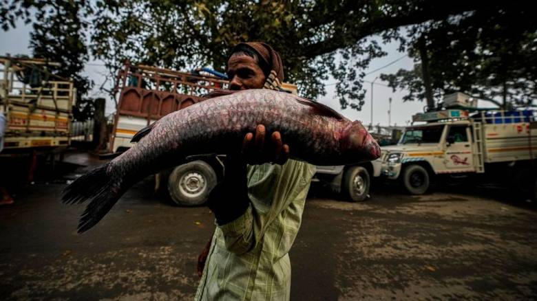 Γιατί πολιτικοί στην Ινδία κάνουν προεκλογική εκστρατεία κρατώντας ψάρια - Εμπλοκή και του Μόντι