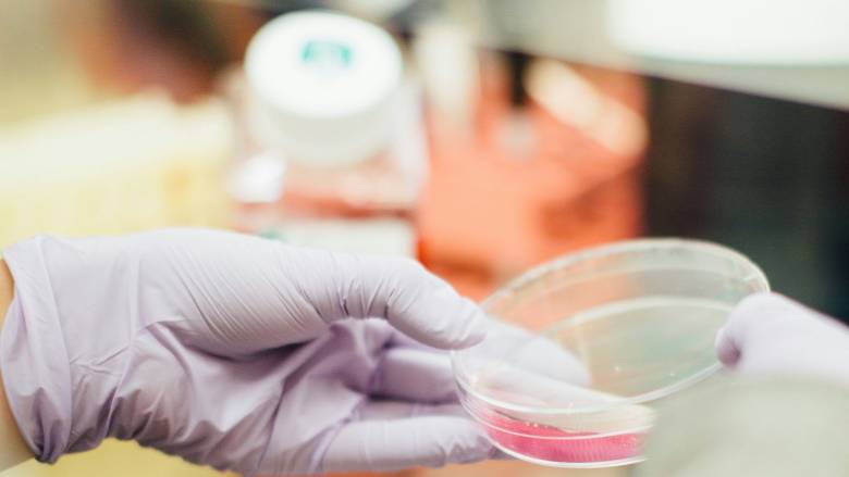 Ιάπωνας επιστήμονας ζήλεψε την προαγωγή συναδέλφου του και του έβαλε... τοξικές ουσίες στο νερό