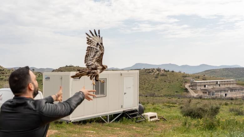 Μια ημέρα στην ANIMA: Όταν ο εθελοντισμός γίνεται εμπειρία πεδίου