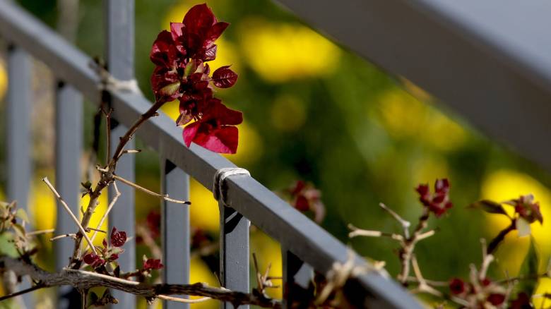 Καιρός: Αίθριος σχεδόν σε όλη τη χώρα με άνοδο της θερμοκρασίας