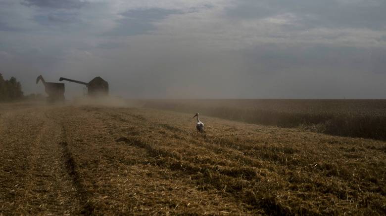 Η Ουκρανία ζητεί από το Ισραήλ να μην δεχθεί τα «κλεμμένα από τη Ρωσία» σιτηρά της