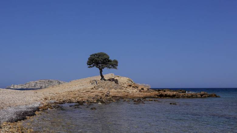 Λιβάνια Ποσειδωνίας, «πυξίδα» το Αμοργόραμα: Προεδρικό Διάταγμα για την προστασία του Αιγαίου