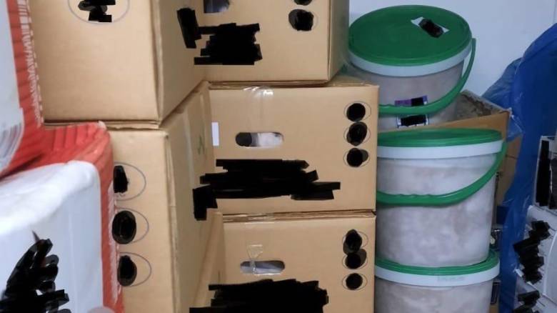Περιφέρεια Αττικής: Κατασχέθηκαν 5,3 τόνοι ακατάλληλου κρέατος - Χαρδαλιάς: «Τέλος στην ασυδοσία»