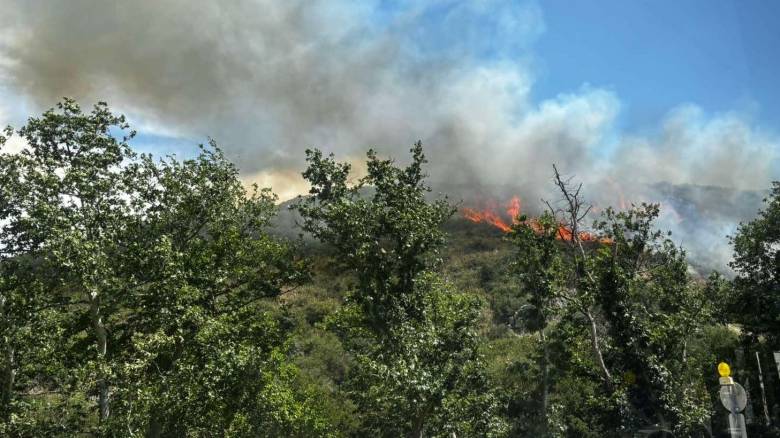 Τρεις συλλήψεις για την πυρκαγιά σε δασική έκταση στο Φίλυρο Θεσσαλονίκης