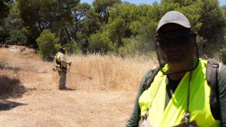 Καθαρισμός οικοπέδων - ΠΟΜΙΔΑ: «Καθαρίστε τα τώρα, μπορεί να σας γλιτώσει από το πρόστιμο»