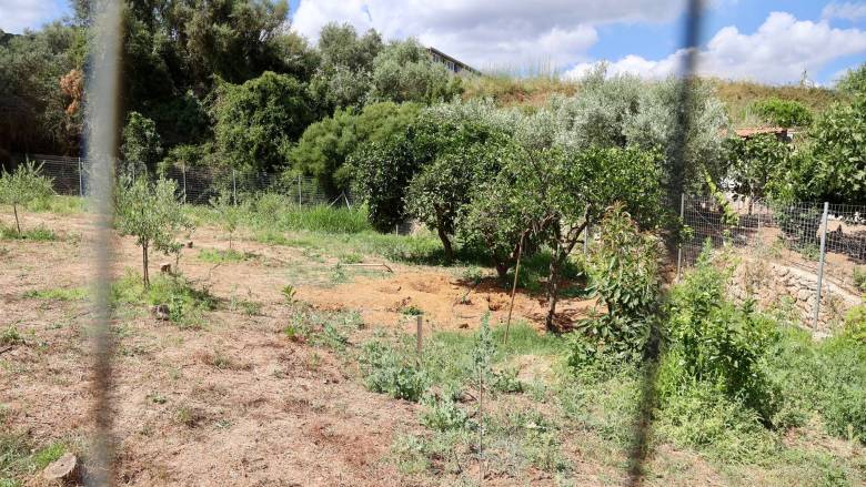 Έγκλημα στα Χανιά: Το χωράφι όπου ο 43χρονος έθαψε τη σορό της Σταυρούλας - Την έβαλε σε σακούλες 
