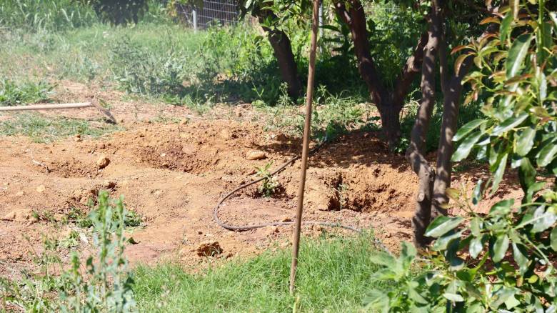 Χανιά: Δεμένη και φιμωμένη η 45χρονη Σταυρούλα Λεβεντάκη – Τι δείχνουν τα πρώτα ευρήματα