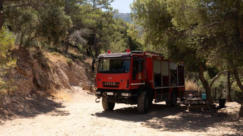 Πέντε συλλήψεις για τις πυρκαγιές σε Φθιώτιδα, Σέρρες, Ανατολική Αττική και Ρόδο