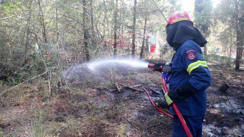 Στις 41 οι αγροτοδασικές πυρκαγιές το τελευταίο 24ωρο - Τέσσερις σε εξέλιξη