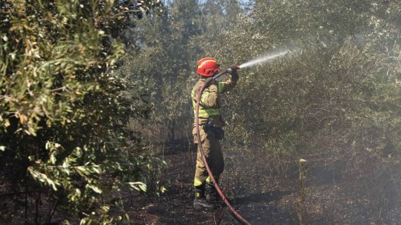 Υπό μερικό έλεγχο τέθηκε η φωτιά στην Καλαμιώνα Ρόδου