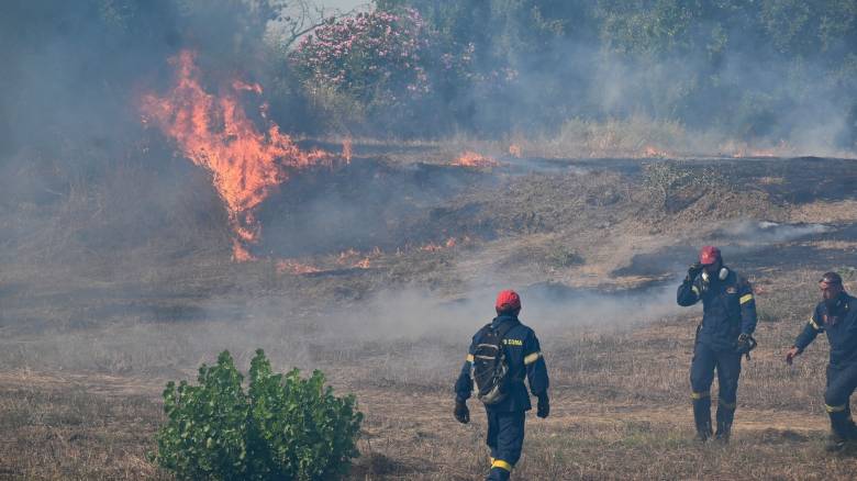 Συνεχείς αναζωπυρώσεις στη φωτιά στη Βάρδα Ηλείας - Κάηκαν λιοστάσια, κινδύνεψε εκκλησάκι