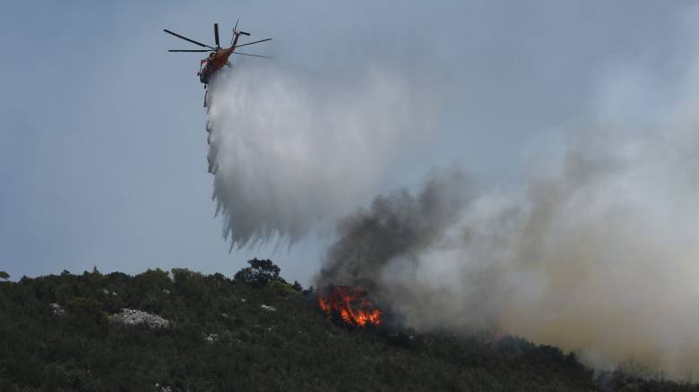 Μεγάλη πυρκαγιά στα Ελληνοσκοπιανά σύνορα - Σήμανε 112 στην περιοχή Ακρίτας Κιλκίς