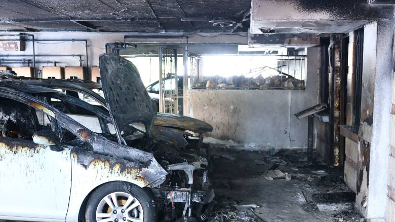 Εμπρησμοί στη Θεσσαλονίκη: «Νεαρός μπήκε από το δάσος και άφησε τα γκαζάκια» λέει ο Σ. Αναστασιάδης