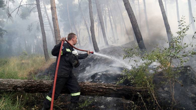 Φωτιά στην Οινόη: Μήνυμα από το 112 σε κατοίκους - «Παραμείνετε σε ετοιμότητα»