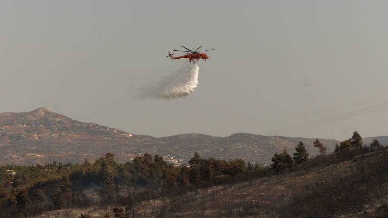 Πυρκαγιά στη Νέα Απολλωνία Θεσσαλονίκης: Στην κατάσβεση και εναέρια μέσα