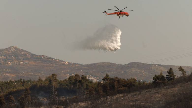 Ενισχύθηκαν οι δυνάμεις στην φωτιά στην Άρτα: Συνεχείς ρίψεις από αεροσκάφη και ελικόπτερα