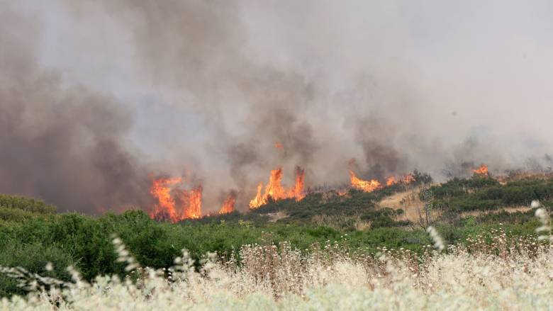 Τέσσερις συλλήψεις για τις φωτιές σε Αργολίδα, Καβάλα και Κορινθία - Από φωτιά σε ΙΧ ξέσπασαν οι δύο