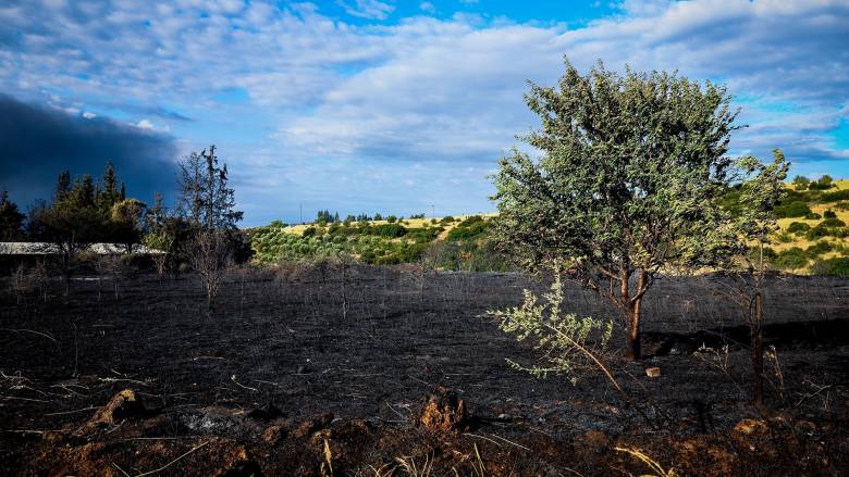 Μέσα σε μία ώρα οριοθετήθηκε η φωτιά στη Χαλκίδα