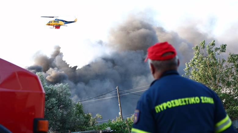 Πύρινη κόλαση στο Ωραιόκαστρο: Την καταστροφή αποτυπώνει το πρώτο φως της ημέρας - Άρχισαν ρίψεις