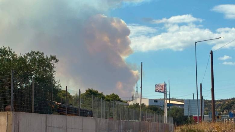 Η φωτιά στην Οινόη επεκτάθηκε σε πευκόφυτο δάσος - Ήχησε το 112 για ετοιμότητα