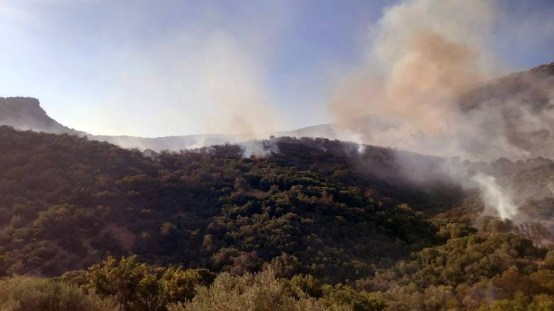 Χωρίς ενεργό μέτωπο η πυρκαγιά σε αγροτοδασική έκταση στην Αγία Ελένη Τροιζηνίας