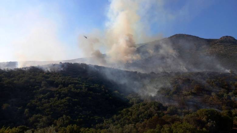 Φωτιά σε αγροτοδασική έκταση στην Αγία Ελένη Τροιζηνίας - Ενισχύονται οι πυροσβεστικές δυνάμεις