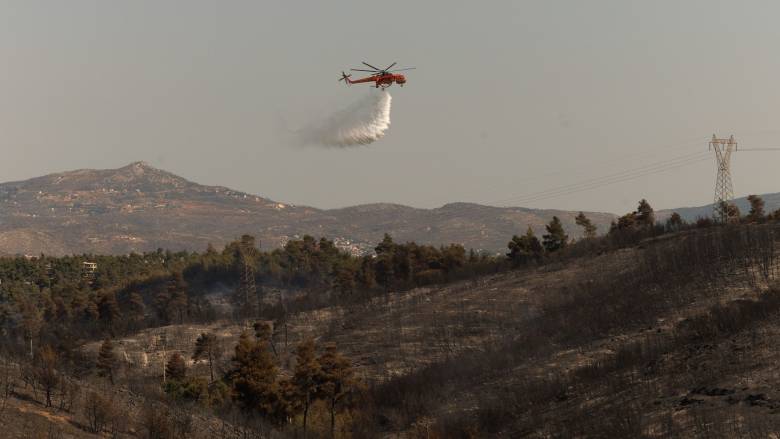 Καλύτερη εικόνα στη φωτιά στη Σκάλα Ερεσσού Μυτιλήνης
