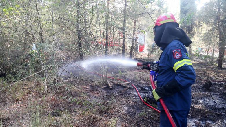 Βελτιωμένη η εικόνα της φωτιάς στην Παραμυθιά Θεσπρωτίας - Σε επιφυλακή οι πυροσβεστικές δυνάμεις