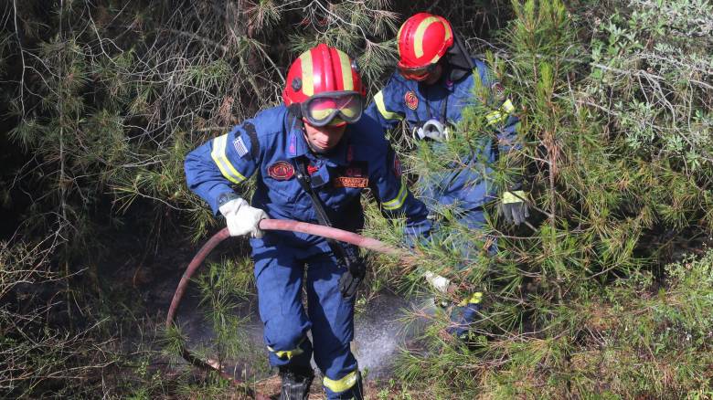 Σε ύφεση η φωτιά στο Περιβολάκι Θεσσαλονίκης