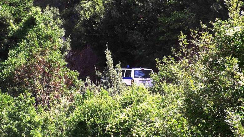 Πάνω από 4.000 δενδρύλλια κάνναβης σε ορεινό χωριό της Λαμίας - Τρεις συλλήψεις