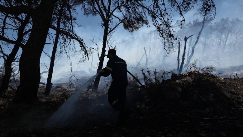 Θεσσαλονίκη:Υπό μερικό έλεγχο η πυρκαγιά στο Ανατολικό του Δήμου Δέλτα