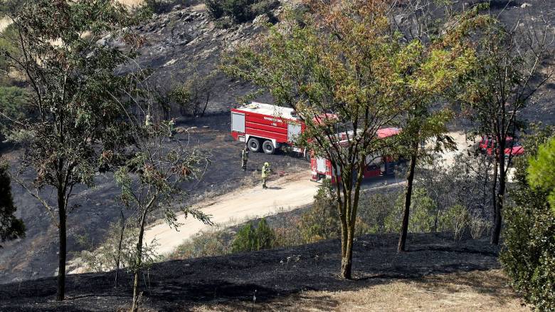 «Βαριά» πρόστιμα για πρόκληση πυρκαγιών από αναμμένα τσιγάρα σε Σέρρες και Θεσπρωτία