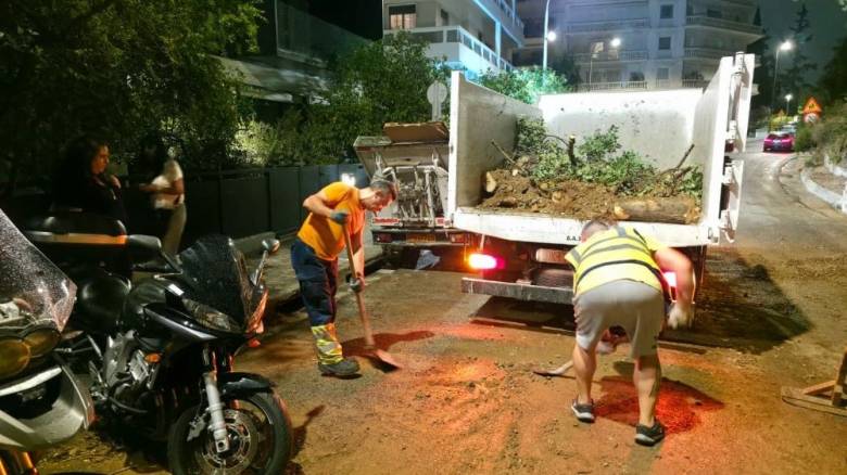 Δήμος Αθηναίων: Άμεση κινητοποίηση μετά την κακοκαιρία - Πάνω από 60 δρομολόγια απομάκρυνσης κλαδιών