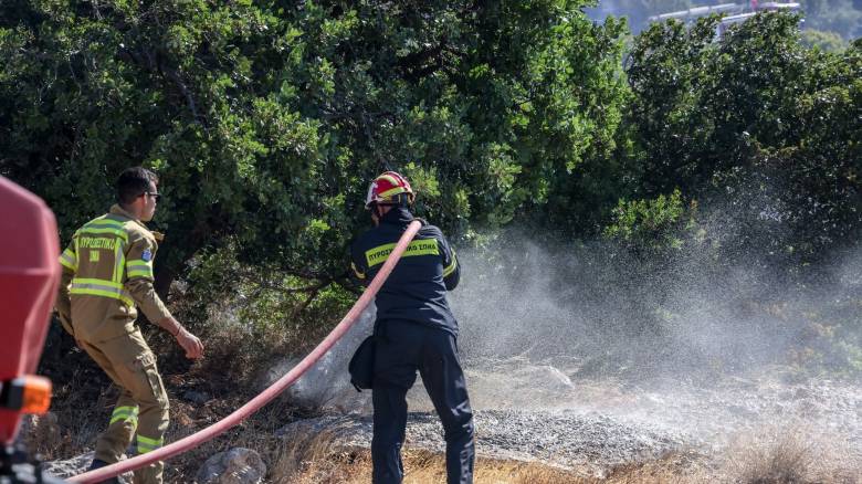Γιάνναρος: Με «οδηγό» τον άνεμο καίει η φωτιά στην Κρήτη-Τι ρόλο έπαιξαν στροβιλισμοί και κηλιδώσεις