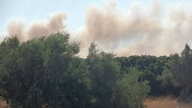 Δορυφορική εικόνα από τις δύο πυρκαγιές στη Βοιωτία - Δεδομένα σε πραγματικό χρόνο από το FireHUB