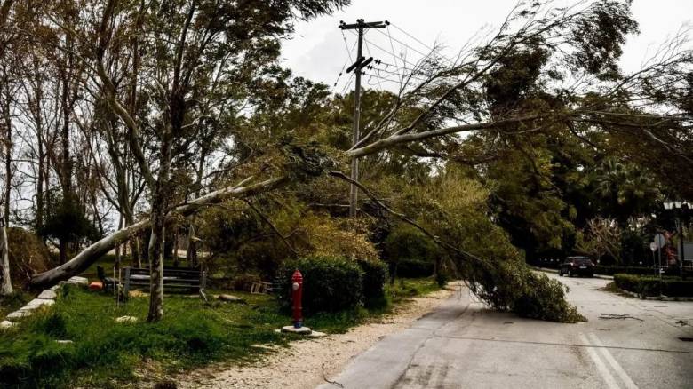 Θυελλώδεις βοριάδες στην Αττική - Στα 150 χλμ/ώρα οι ριπές ανέμου στην Πεντέλη