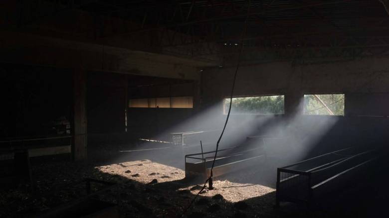 Φωτιά στο Ρέθυμνο: «Έχουν καεί τα πάντα» - Η κάμερα του CNN Greece καταγράφει εικόνες καταστροφής