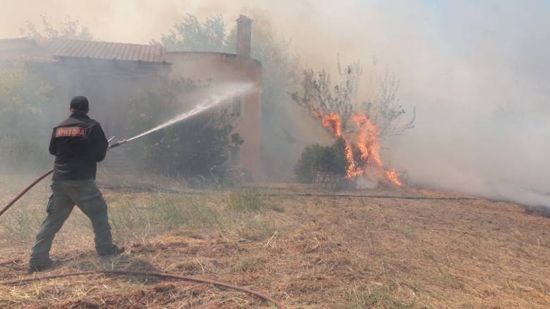 Δύο συλλήψεις για τη μεγάλη φωτιά στη Βοιωτία - Εντοπίστηκαν από βίντεο, οδηγούνται στον Εισαγγελέα