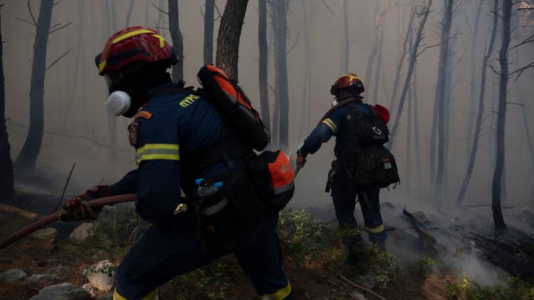 Πυροσβεστική: Συνολικά 38 αγροτοδασικές πυρκαγιές το τελευταίο εικοσιτετράωρο