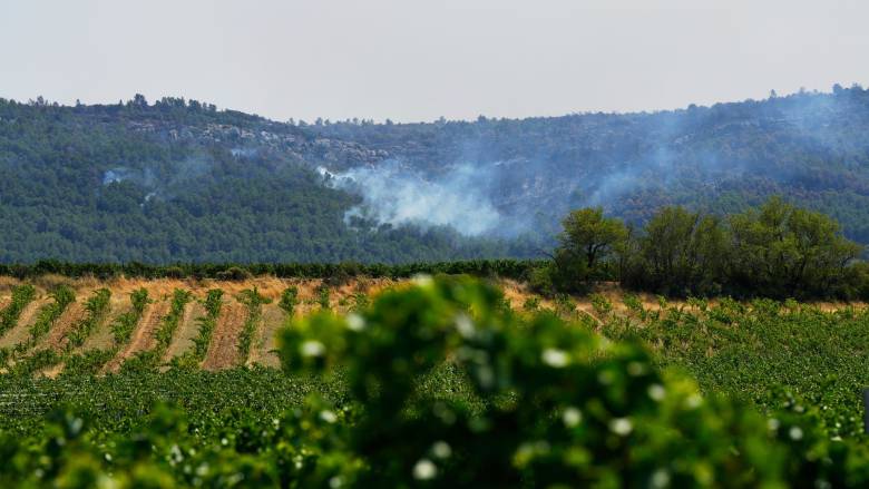 «Smoke taint»: Πώς  οι πυρκαγιές μπορούν να αλλάξουν τη γεύση του κρασιού της Γαλλίας