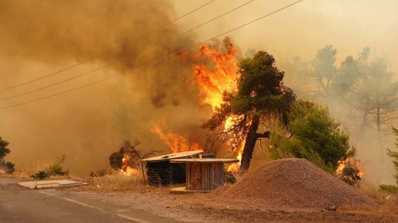 Επιδότηση ενοικίου μέχρι 500 ευρώ και 100% αποζημίωση για σπίτια που επλήγησαν από τις φωτιές