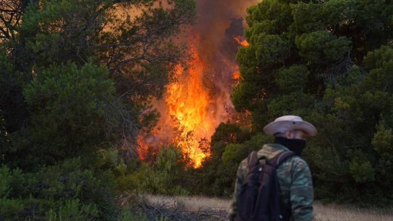 Πύρινος όλεθρος στην Αττικοβοιωτία – Εικόνες που κόβουν την ανάσα καταγράφει το CNN Greece