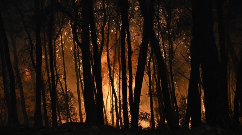 Μάχη με τις φλόγες στο σκοτάδι σε ανοιχτά μέτωπα - Έρευνα για την τραγωδία με τους νεκρούς πιλότους