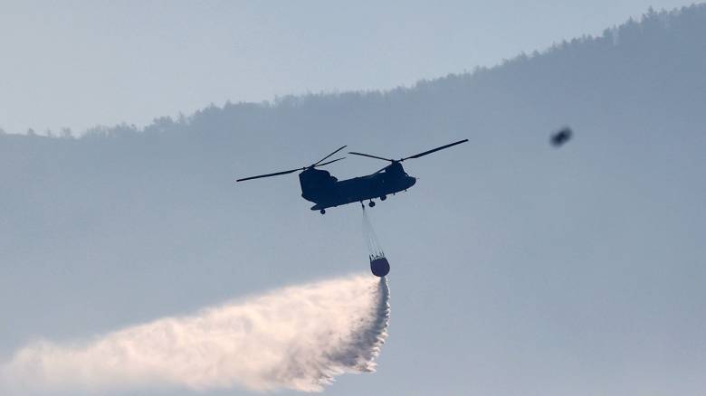 Οριοθετημένη και χωρίς ενεργό μέτωπο η φωτιά στο Καρύδι Σητείας