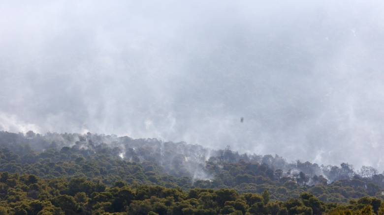 WWF: Πάνω από 180.000 στρέμματα καμένων δασικών εκτάσεων σε λίγες μόλις μέρες