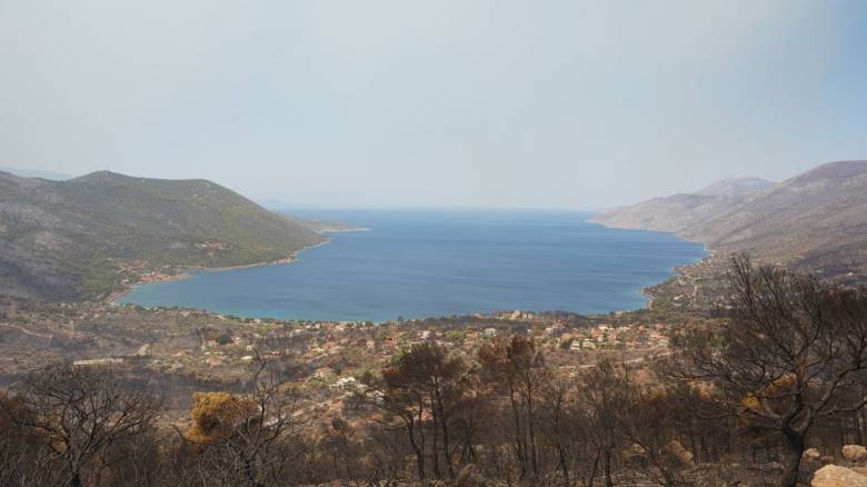 Στη Δυτική Αττική χάθηκε το 64% των δασών σε 10 χρόνια - Οι πυρκαγιές που κατέκαψαν το λεκανοπέδιο
