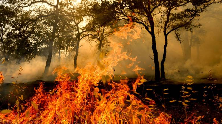 Φωτιά στην Καλιφόρνια: Πτώμα εντοπίστηκε μέσα σε καμένο σπίτι - Χιλιάδες οι εκτοπισμένοι
