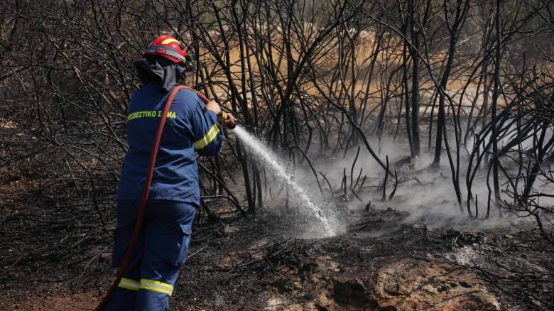 Οριοθετήθηκε η πυρκαγιά στον Γέρακα Αττικής